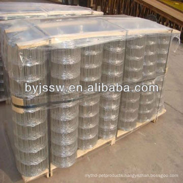 1/4''--4''Galvanized Welded wire mesh (Direct factory)